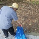 할렐루야교회(사랑의학교) 네이버블로그