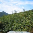 용곡농장 이미지