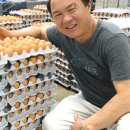 참푸른농장 이미지