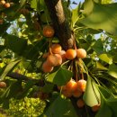 ㈜태림환경 이미지