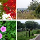 바이크탐방로 이미지