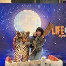 소망 동물병원 | 연극 라이프오브파이 후기🐯🛶(박강현/GS아트센터)