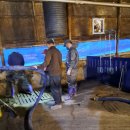 재평농장 이미지