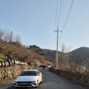 금한마을-정자나무옆 | 2026 광양 매화축제 매실마을 실시간 개화상황 및 주차, 먹거리 후기