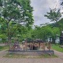 삼가로1 티스토리