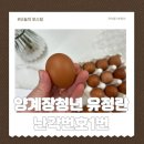 행복양계장 | 난각번호1번 양계장청년 유정란 후기