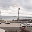 백년식당 | 울진 현지인 맛집 후포리백년식당 홍게코스요리 내돈내산 추천 후기