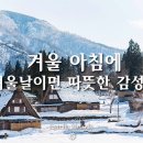 WATCH SOFT Daum카페