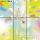 백마스튜디오 - 고양시 일산서구 장자길 93 | 백마스튜디오