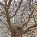 모악산마실길 2-1코스 이미지