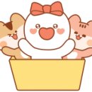 ㈜프레제니우스메디칼케어코리아 이미지
