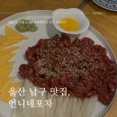 울산 남구 술집 추천, 신선한 육회 맛집 언니네포차