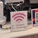 사파동113 이미지