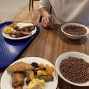 머거보카마켓 | [신혼여행]크로아티아로 자유여행::자그레브/옐라치치광장/오쥬스코맥주/자그레브맛집/유니렌트/
