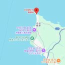 외촌1(5-22) | 22주 임산부 오키나와 셀프 스노클링 후기｜비세자키·고릴라촙 비교