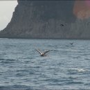 신광초교 이미지