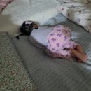 이순신빙상장 | 5세 아이 스케이트 첫도전! 아산 이순신빙상장 후기 &amp; 스케이트 대여 사이즈