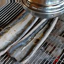 성지농장 | 드디어 성지 순례각 잡았다! 찐 백마강 힐링 후기