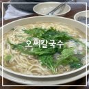 오家네 칼국수 | 대전 도룡동맛집 오씨칼국수 | DCC 맛집, 주말 점심웨이팅, 물총칼국수, 대전 칼국수 1등