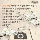 두향 이미지