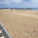 백사장 이미지
