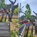 오죽헌/시립박물관 주차장 네이버블로그