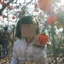 에덴치과 네이버블로그