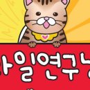 과일연구냥 이미지