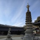 평창 월정사 팔각구층석탑 | 겨울 평창 여행 오대산 월정사 팔각구층석탑