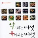 푸른솔문고 이미지