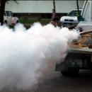 새샘태권도장 이미지