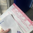 포레스트힐캠퍼스 | 한겨울 중 여름 만나기🇸🇬🍃