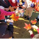 학이유치원 이미지