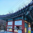 향일암로 | 여수 향일암 일출 명소 후기｜바다 뷰 + 갓김치 구매(Feat. 내돈내산)