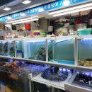 바하노래연습장 이미지