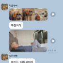 일주일 여름 휴가를 바쁘게(?) 보낸 일상