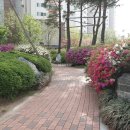 꿈에그린 이미지