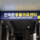 인덕원동물의료센터 이미지