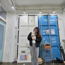 장수서창동-28 | 24시청라강아지분양 미니비숑전문켄넬 미니비숑분양 (석남동,송도)
