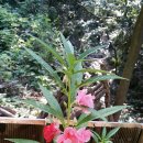 오케이씨농장 이미지