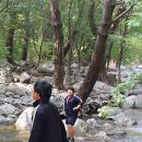 강원도자연학습원 이미지