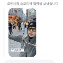 이스탄불 1일차 - 고양이 천국