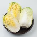 유성한방병원 네이버블로그