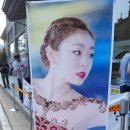 알펜시아 컨벤션센터 이미지