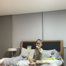 하버드앵무새카페 이미지