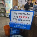 붕어의 신 실내낚시터 | 광주실내낚시터추천_붕어의신낚시