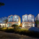 반도스파인 이미지