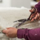 디비유통 이미지