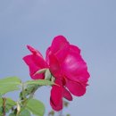 도성건축사사무소 - 전주시 덕진구 노송여울2길 154 | 도성건축사사무소