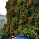 대봉1동주민센터 이미지